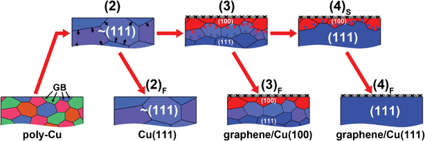 Sketch of Cu grain growth corresponding to different temperature profiles in Fig. 1. The arrows at the grain boundaries (GB) indicate the directions of grain growth.