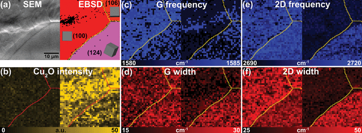 (a) SEM image and its corresponding EBSD map of a fast-cooled graphene/Cu sample with different lattice orientation of Cu(100)-like and Cu(124) in a 40 × 40 μm2 area. Raman maps from the same area correspond to (b) Cu2O intensity, (c) G frequency, (d) G width, (e) 2D frequency and (f) 2D width. The left and right maps in (b)-(f) represent as-grown and 3 days oxidation, respectively. The grain boundaries are indicated by red lines (in Cu2O intensity maps) and yellow lines (in frequency and width maps of G and 2D).