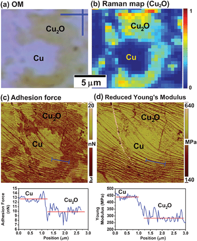 Force curve analysis of SPM on a partially oxidized Cu(111) grain. (a) is the OM image of a partially oxidized Cu(111) area, and (b) is the corresponding Raman map indicating the distribution of Cu2O, (c) and (d) are the adhesion force and reduced Young's modulus maps corresponding to (a) and (b).