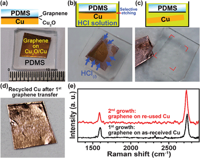 (a)-(c) A preliminary process for transfer of a PDMS protected graphene/Cu2O/Cu sample by a selective etching of Cu2O using dilute HCl solution. (d) The recycled Cu foil after graphene transfer. (e) The Raman spectra of 1st- and 2nd-grown graphene. The quality of 2nd-grown graphene using recycled Cu shows no obvious difference from 1st sample.