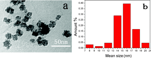 TEM image of YAG:Ce1% NPs (a) and size distribution (b).