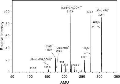 
            CID
            spectra of [Cu(L–H)]+ at Elab = 14 eV.