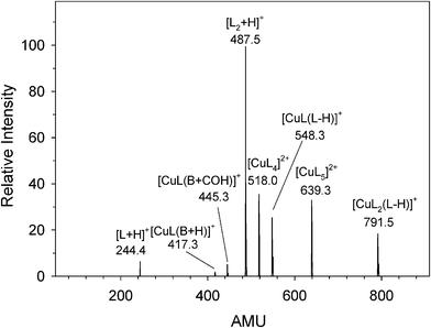 
            CID
            spectra of [CuL5]2+ at Elab = 20 eV.