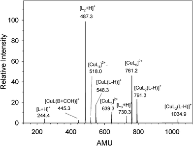 
            CID
            spectra of [CuL6]2+ at Elab = 10 eV.