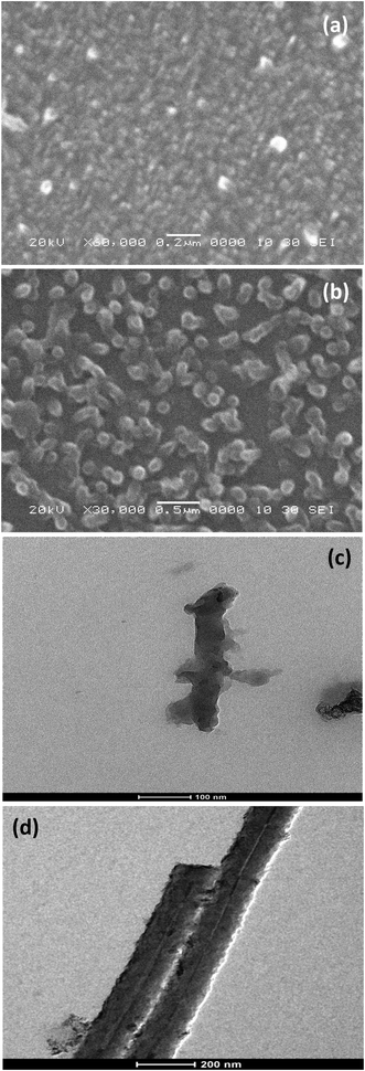 SEM images of (a) PANI nanofibers and (b) PANI nanotubes grown on APTMS/Si. TEM images of (c) PANI nanofibers and (d) PANI nanotubes.