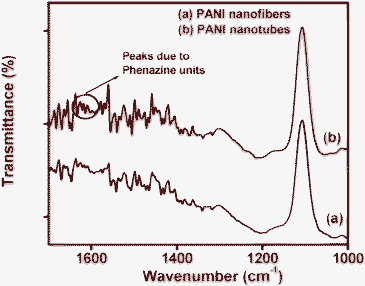 FTIR spectra of (a) PANI nanofibers and (b) PANI nanotubes on APTMS/Si.