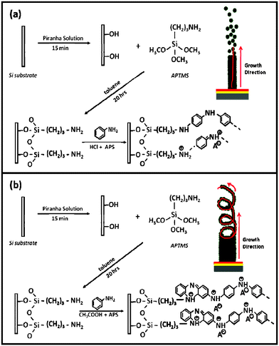 Growth mechanism and possible growth direction of (a) PANI nanofibers and (b) PANI nanotubes, on APTMS/Si.