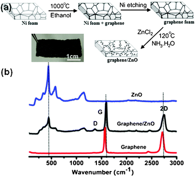 (a) Schematic of the synthesis process and a photograph of graphene/ZnO hybrid. (b) Raman spectra of bare 3D graphene, ZnO and graphene/ZnO hybrid.