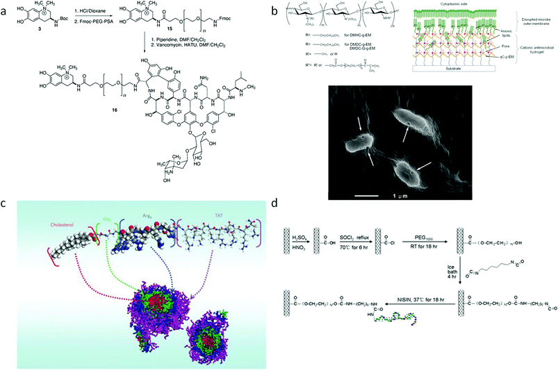 (a) Hybrids of anachelin with natural glycopeptide vancomycin.172 (b) Quaternized chitosan functionalized with acrylate PEG side-chains which forms a nanoporous hydrogel.182 (c) Self-assembly of peptide and cholesterol hybrids;173 (c) Conjugation of Amphotericin B to oxidized natural polysaccharides (dextran);171 (d) Conjugation of antimicrobial peptide with carbon nanotubes.175