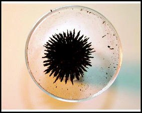 A maghemite sample, placed on a magnet prepared through a self-propagating combustion reaction (Sample E composition).