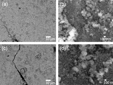 SEM images of A–B magnetized E-33 samples: A (a–b) and B (c–d).