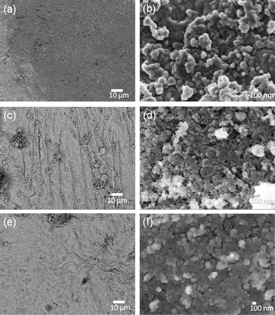 SEM images of C (a–b), D (c–d) and E (e–f) magnetized E-33 samples.