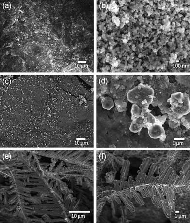 SEM images of magnetized E-33: F (a–b) and G (c–f) samples.