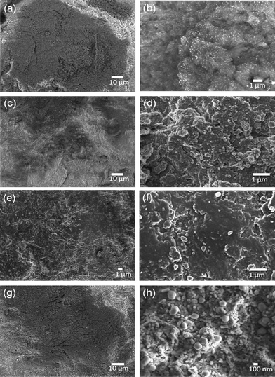 SEM image of J(a-b), K(c–d), L(e–f) L, and M (g–h) samples.