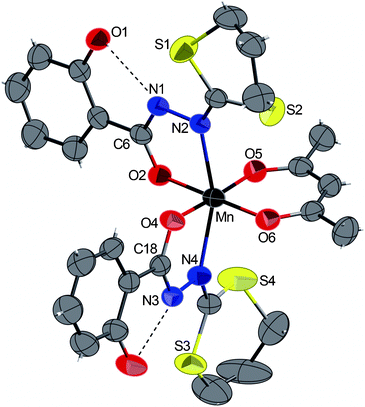 ORTEP view of the complex 1 with partial labelling scheme. The ellipsoids enclose 50% of the electronic density. Selected distances (Å) and angles (°): Mn–N2 2.261(2), Mn–N4 2.280(2), Mn–O2 1.922(2), Mn–O4 1.921(2), Mn–O5 1.912(3), Mn–O6 1.908(2); O5–Mn–O4 176.59(8), N2–Mn–N4 158.37(8), O6–Mn–O2 179.63(8). Dashed lines indicate intramolecular hydrogen bonds.