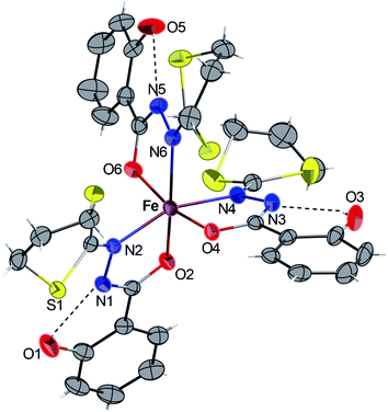 ORTEP view of the complex 3·2CHCl3 with partial labelling scheme. The ellipsoids enclose 50% of the electronic density. The solvent molecules (CHCl3) were omitted for clarity. Selected distances (Å) and angles (°): Fe–N2 2.123(3), Fe–N4 2.146(3), Fe–N6 2.243(3), Fe–O2 1.984(2), Fe–O4 1.957(2), Fe–O6 1.952(2); O6–Fe–O4 165.7(1), N2–Fe–N4 158.5(2), O2–Fe–N6 165.3(1), O2–Fe–N2 76.7(1), O6–Fe–N6 74.7(1), O4–Fe–N4 76.6(1).