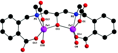 Molecular structure of the dinuclear unit of complex 1 having two aliphatic carboxylate arms and two aromatic carboxylate arms of the ligand cis to each other.