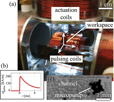 Photograph of the electromagnetic coil system: (a) Actuation and pulsing coils surrounding the workspace; (b) measured Hpulse as a function of time for a 130 V capacitor charge, showing a peak of 240 kA m−1 and duration of several milliseconds; (c) the micropump and channel used in this study.