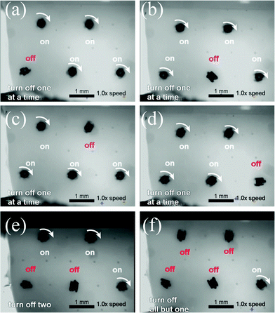 Frames from a video of five addressable microactuators, spinning in place about a polyurethane post by a rotating applied field of magnitude 4.0 kA m−1 at a rate of 30 Hz. Each of the microactuators can be addressed by selective disabling. Rotating actuators are seen as blurry, and are also indicated with rotation arrows. (a–d) One microactuator at a time is turned off. (e) Two microactuators are turned off in sequence. (f) All actuators but one is turned off. Video is available in the ESI.