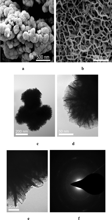 
          SEM images (a, b); TEM images (c–e) and the SAED pattern (f) of the obtained honeycomb-like Co–B.