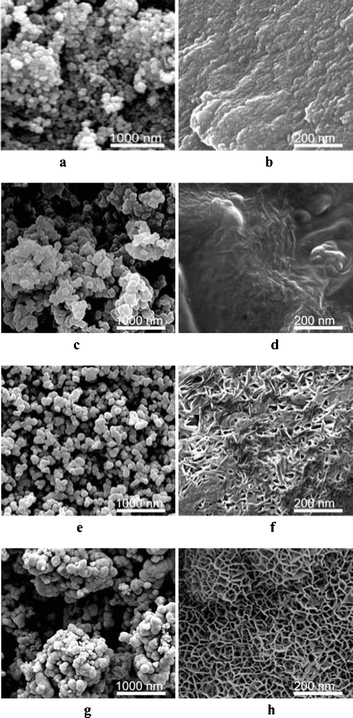 The morphology evolution of the honeycomb-like Co–B products during SPP: (a, b) 1 min; (c, d) 3 min; (e, f) 5 min; (g, h) 7 min.