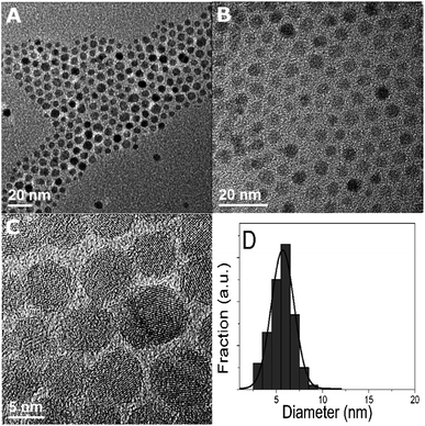 TEM micrographs of Fe3O4 nanoparticles (a, b). (c) Shows the crystallinity of the particles. Typical size distribution of the particles (d).