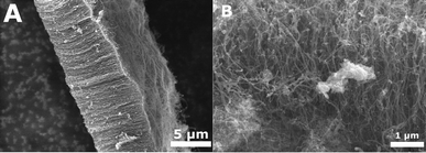 Left: SEM image of CNT forests grown from Fe3O4 particles. Right: SEM image of spaghetti-like ordered CNTs grown from CoO particles.