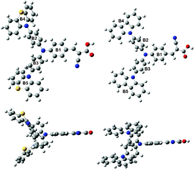 Optimized geometries of WD-1 (left) and WD-4 (right).