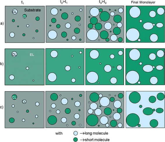 Scheme of the different scenarios for the growth of a binary monolayer leading to the formation of islands. a) Each compound forms dense islands, and b) the long molecule forms dense islands and the short one a disordered phase, in both cases with the final SAM eventually composed of islands of the long molecule. c) Each compound forms dense islands but with the final SAM eventually composed of islands of the short molecule (“holes”).