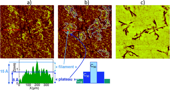 AFM images (1 × 1 μm²) of C30/C18 SAM prepared at LTLH with a ratio in solution Rsol = 5: a) topography and the associated height profile, b) topography with highlighted islands, c) phase (z scale = 15°).