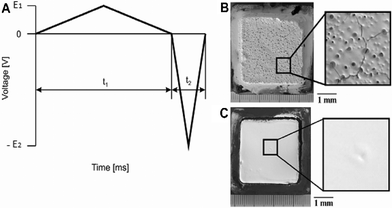 (A) One period of the applied asymmetric triangular AC signal and alumina deposits formed using 100 V DC for 1200 s (B) and 50 Hz and 500 Vp–p asymmetric AC field (C). Image reproduced from ref. 95 with permission of Elsevier.