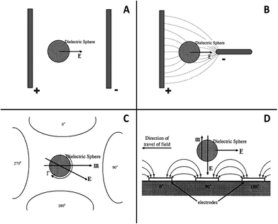 Schematic representation of a charged particle under the influence of electrophoresis (A), dielectrophoresis (B), electrorotation (C) and travelling wave dielectrophoresis (D).