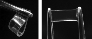 Photographs of the gel films of a conjugate of cholesterol and linear glucose in xylene.41 Reproduced by permission of Elsevier.