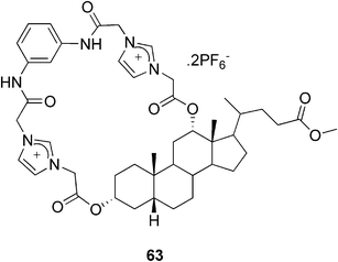 A bile acid-based imidazolium anion-receptor.