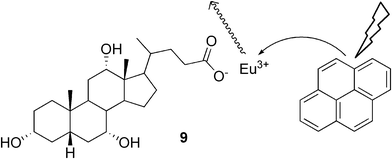 Schematic representation of energy transfer in the sensitization process in a gel system created from europium cholate and pyrene.