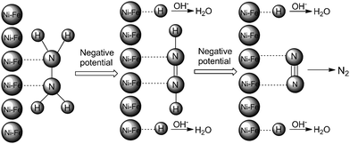 Schematic representation of hydrazine oxidation.