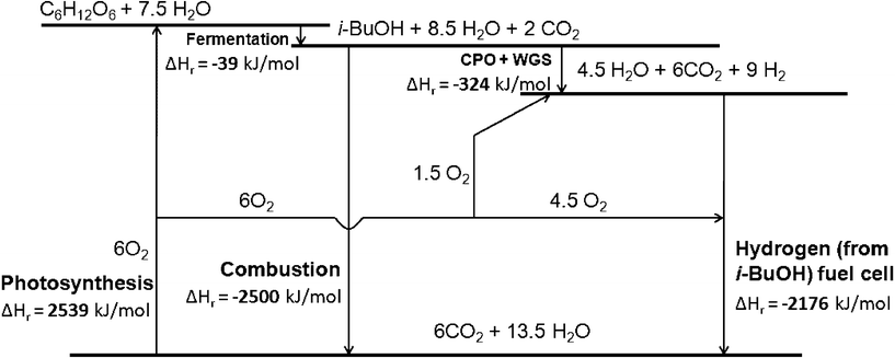 Thermodynamic analysis of the current system including photosynthesis, fermentation, CPO-WGS, hydrogen use in fuel cell and combustion.