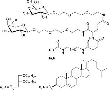 Structures of synthesized neoglycolipids.