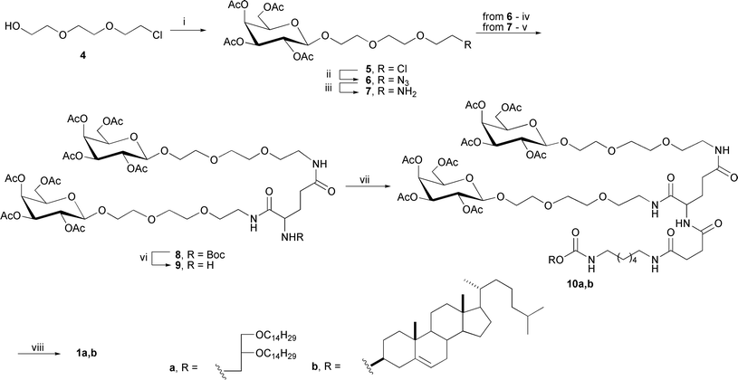 Synthesis of galactose-containing clusters. Reagents and conditions: (i) 2,3,4,6-tetra-O-acetyl-α-d-galactopyranosyl bromide, Hg(CN)2, crushed molecular sieves 4 Å, DCM, 40 °C; (ii) NaN3, DMF, 80 °C; (iii) 10% Pd/C, ammonium formate, MeOH; (iv) N-tert-butyloxycarbonyl-l-glutamic acid, PBu3, DIC, HOBt, THF, 0 °C → RT; (v) N-tert-butyloxycarbonyl-l-glutamic acid, HBTU, DIPEA, DMF, 4 °C; (vi) TFA, DCM, RT; (vii) 3a,b, HBTU, DIPEA, DMF, 0 °C; (viii) 0,04N MeONa/MeOH, 0 °C.