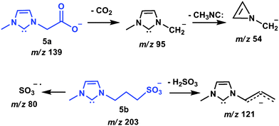 Proposed routes and structures for the collision induced dissociation of the gaseous negative-charge tagged NHC 5a,b.