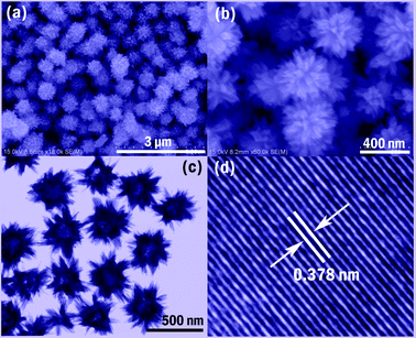 (a)–(b) SEM, (c) TEM and (d) HR-TEM images of as-synthesized W18O49.