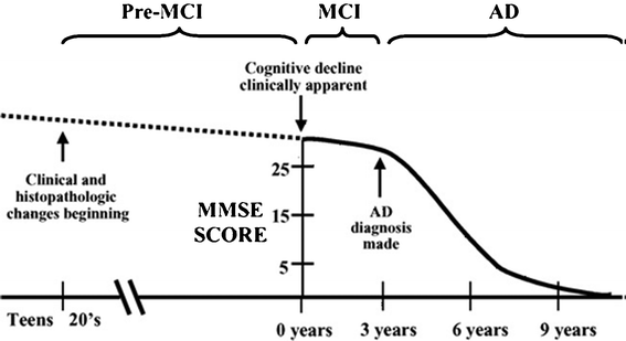 Time evolution of senile dementia to AD. The decline in cognitive abilities (represented by the MMSE) occurs very late. Reproduced with permission from reference.16