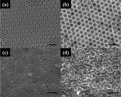 FESEM images of PS monolayer colloidal crystal template (a) and cobalt nanoarray films synthesized via template-assisted electrodeposition (b–d). The deposition time is (b) 30, (c) 60 and (d) 120 min, respectively. The scale bars are 2 μm in (a), (b) and (d), and 5 μm in (c).