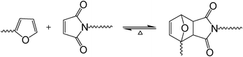 The DA equilibrium between growing species bearing, respectively, furan and maleimide end-groups.