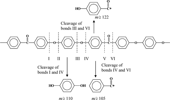 The possible cleavage positions of PEEK bonds.