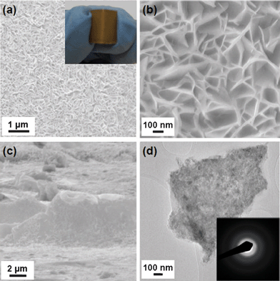 (a) and (b) Top-view FESEM images of the as-grown film on a SS substrate collected at dsub = 10 cm. Inset in (a): corresponding optical image of the as-prepared sample on a SS foil. (c) Side-view FESEM image of the film, showing a thickness of ∼4 μm. (d) TEM image of a single nanosheet and corresponding SAED pattern (inset).