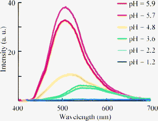 Variations of fluorescence spectra of 4f in aqueous HCl solution (3.0 × 10−7 M) dependent.