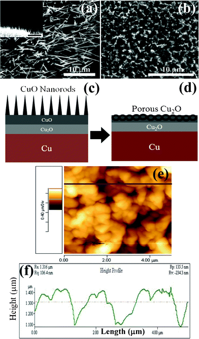 (a) SEM image of the CuO nanorod film obtained at 550 °C for 4 h on Cu foil, inset shows cross sectional SEM image of the film, (b) SEM image of the porous Cu2O film obtained from the CuO nanorods at 600 °C for 2 h, (c) schematic of CuO nanorod formation, (d) schematic of porous Cu2O formation, (e) AFM image of the porous Cu2O film, and (f) height profile of the Cu2O film.