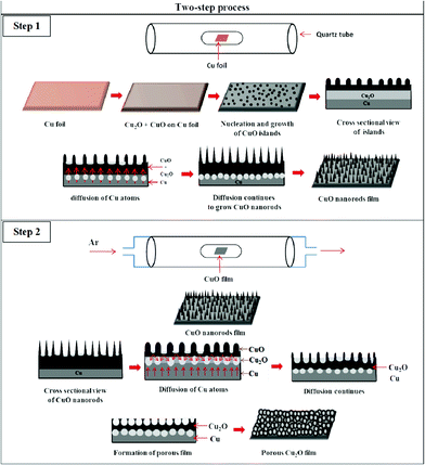 Growth mechanism for porous Cu2O structures.