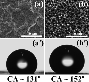 (a) and (b) SEM images and (a') and (b') the contact angles of film II and film I.